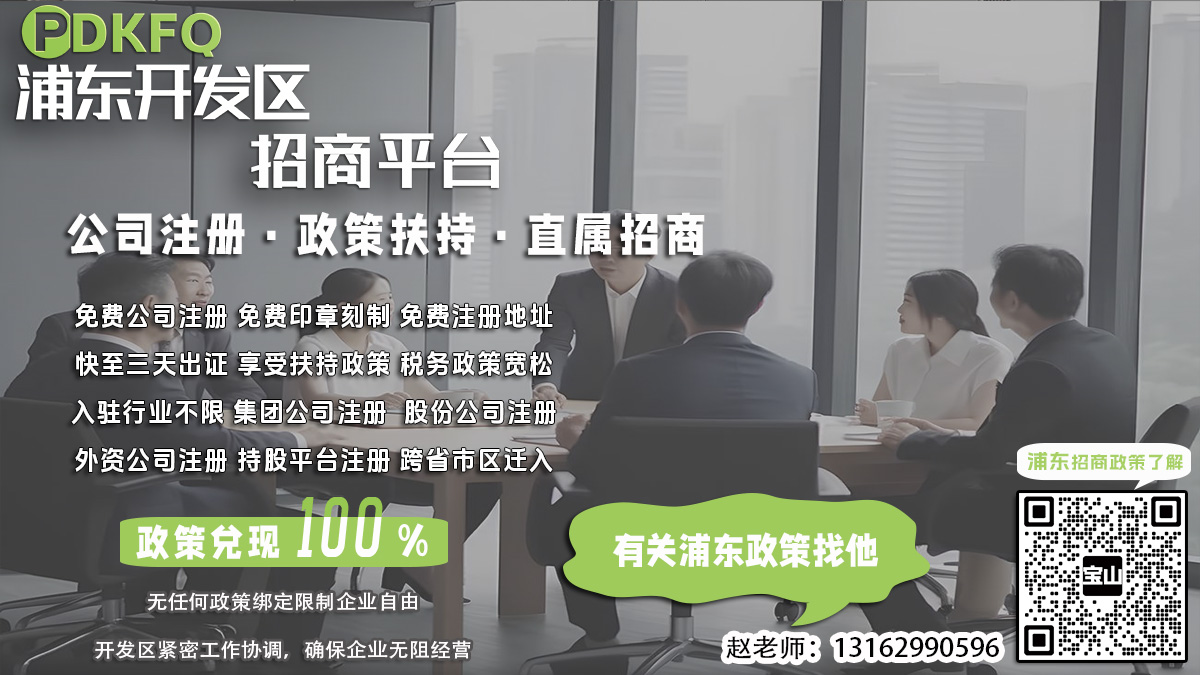 浦东园区一般纳税人认定后如何进行税务合规评估报告？